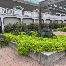 Top-quality-Galt-House-Hotel-and-Restaurant-pulldown-Sunshade-in-Downtown-Louisville-Kentucky 4